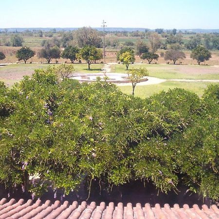 Quinta Do Casalinho Guest House Almeirim Bagian luar foto
