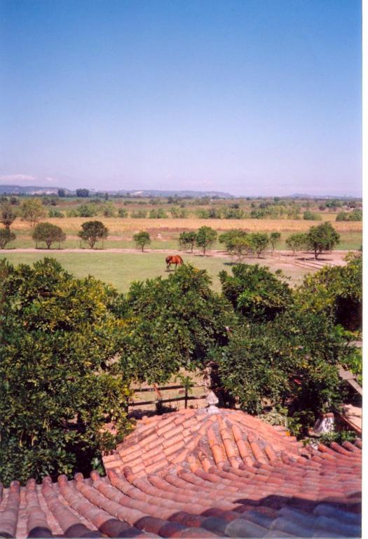 Quinta Do Casalinho Guest House Almeirim Ruang foto