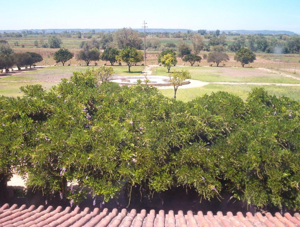 Quinta Do Casalinho Guest House Almeirim Bagian luar foto