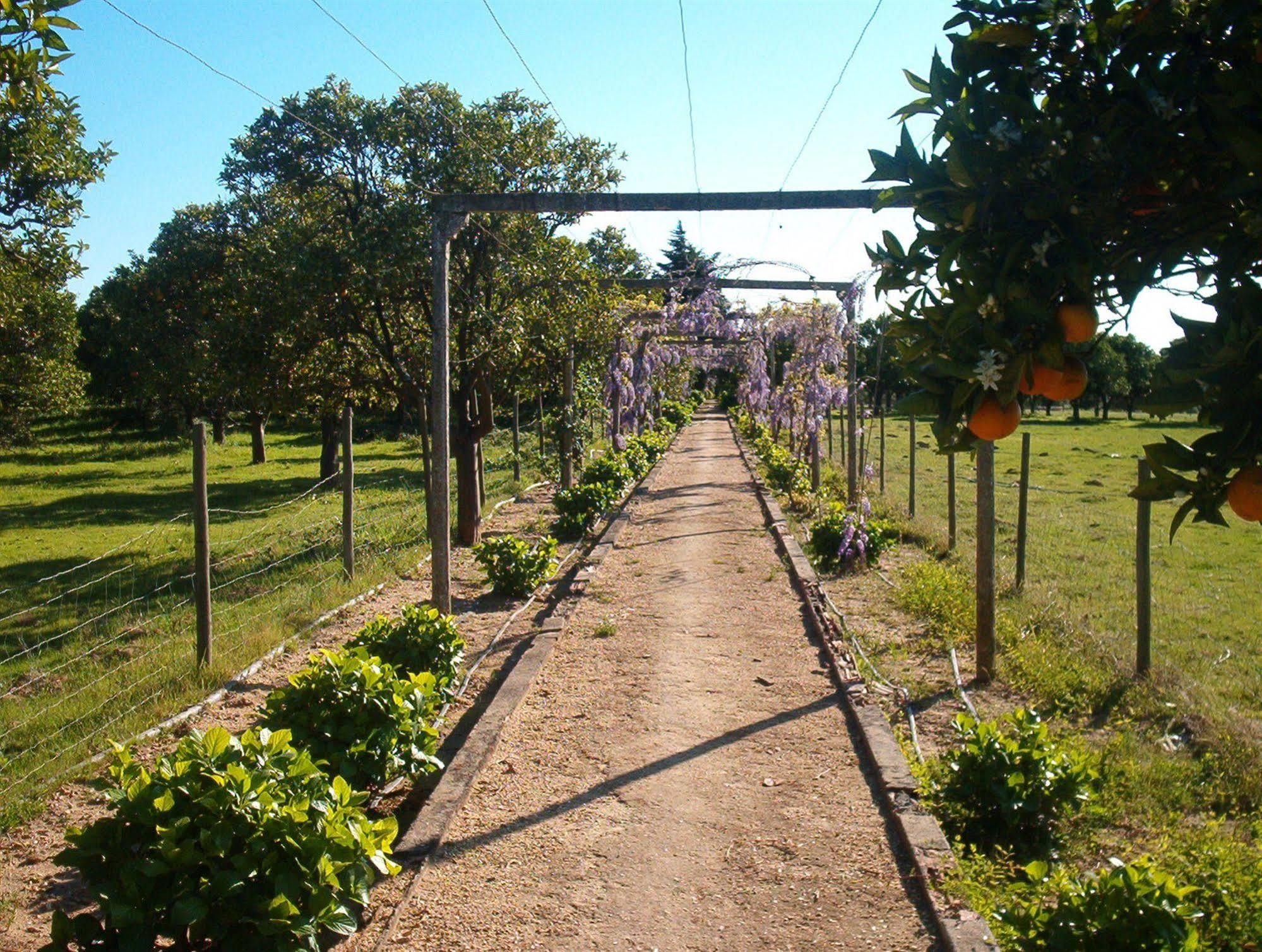 Quinta Do Casalinho Guest House Almeirim Bagian luar foto